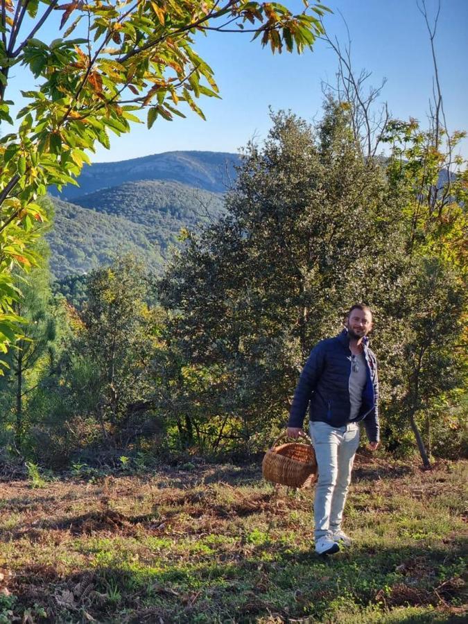 "Les Hauts Du Marquet" - Meuble De Tourisme 5 Etoiles - Gite De Groupe 15 Personnes En Cevennes - Piscine A Debordement - Balneo - Sauna - Nature Saint Jean du Pin Kültér fotó
